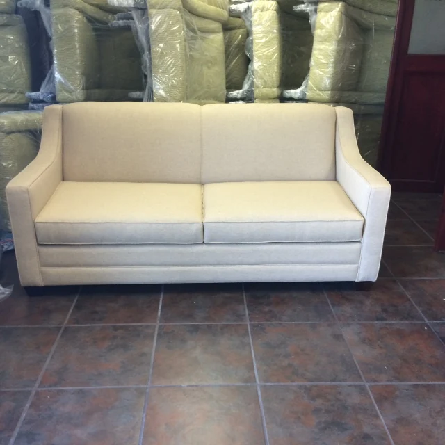 Indoor Sofa — #47007 Cozy System sleeper
